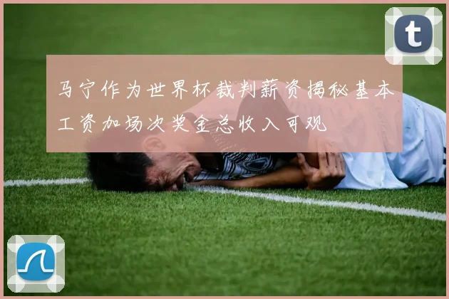 马宁作为世界杯裁判薪资揭秘基本工资加场次奖金总收入可观