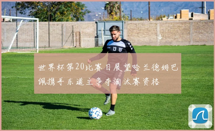 世界杯第20比赛日展望哈兰德姆巴佩携手东道主争夺淘汰赛资格