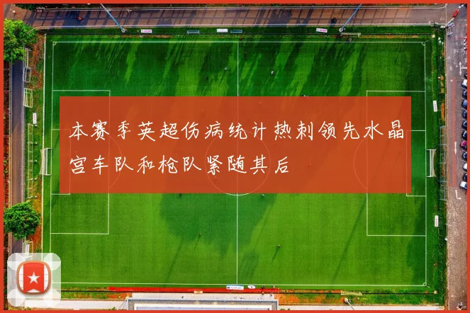 本赛季英超伤病统计热刺领先水晶宫车队和枪队紧随其后